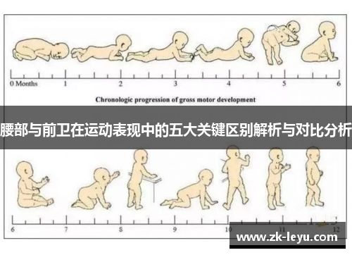 腰部与前卫在运动表现中的五大关键区别解析与对比分析