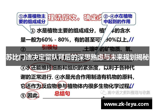 苏比门迪决定留队背后的深思熟虑与未来规划揭秘