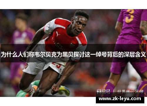 为什么人们称韦尔贝克为黑贝探讨这一绰号背后的深层含义 为什么人们称韦尔贝克为黑贝探讨这一绰号背后的深层含义