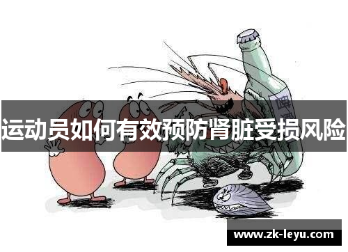 运动员如何有效预防肾脏受损风险