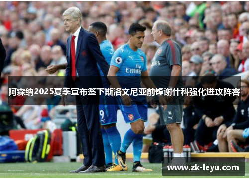 阿森纳2025夏季宣布签下斯洛文尼亚前锋谢什科强化进攻阵容 阿森纳2025夏季宣布签下斯洛文尼亚前锋谢什科强化进攻阵容